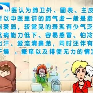 饮食养生汇20140402视频:付国兵讲《一招三式强五脏-养肺》,肺气虚,养肺三式