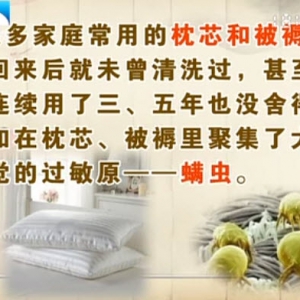 饮食养生汇20140403视频笔记:李宏讲《隐藏在家中的过敏原》,螨虫,金银蒜蒸丝瓜