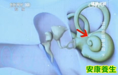 耳鸣