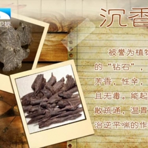 饮食养生汇20140408视频笔记:王凤岐讲《神奇的药香》沉香,檀香,紫檀,过度医疗