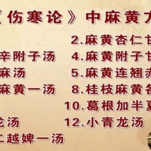 《养生堂》20140410视频笔记:王玉英讲《古方话奇药-1》虎狼药,麻黄汤的功效,肺气不宣
