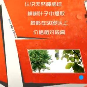 家政女皇20140410视频笔记:谭凤珠讲《如何收纳防虫蛀》樟脑,对二氯苯,海米娃娃菜