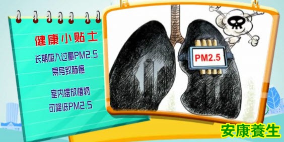 PM2.5