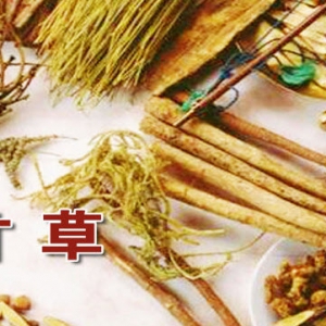 《养生堂》20140412视频:王玉英讲古方话奇药-3,甘草的功效,甘草的应与禁忌,四君子汤