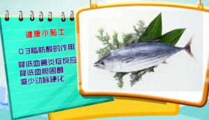 健康有道20140415视频和笔记:范志红讲《你不知道的事-肉食篇》饮食均衡搭配,食物热效 ...