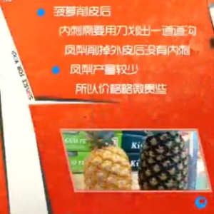家政女皇20140415视频和笔记:张晔讲凤梨与菠萝的区别,菠萝罐头,如何挑选菠萝
