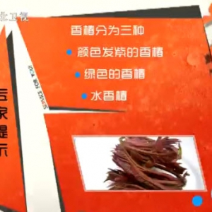 家政女皇20140416视频和笔记:张晔讲《白捡的宝贝-香椿》香椿的功效,香椿鸡蛋炒面