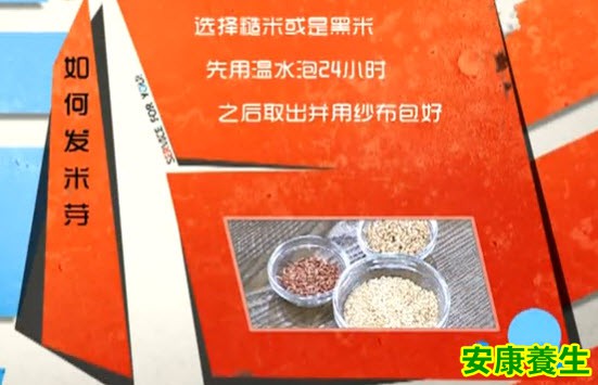 糙米芽怎么发