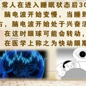 饮食养生汇20140418视频和笔记:周文静讲《梦的解析》,快动眼期,核桃仁炒鸡丁