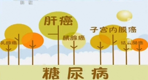 《健康之路》20140419视频和笔记:沈琳讲身边的致癌隐患(下)肥胖食管癌,霉变食物致癌