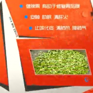 家政女皇20140421视频和笔记:张晔讲《清肝明目吃榆钱》榆钱的功效,榆钱饭的制作方法