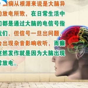 饮食养生汇20140421视频和笔记:周文静讲《走出癫痫阴影》癫痫的病因,洋葱排骨