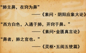 《养生堂》20140422视频笔记:徐荣谦,刘尚建讲《寒热“肺”自知-2》芦根麦冬饮,千金苇茎汤