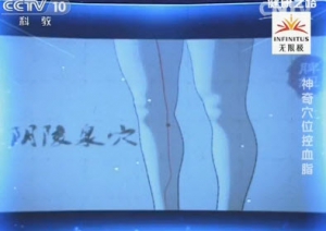 《健康之路》20140422视频和笔记:程凯讲《神奇穴位控血脂》荷叶降脂茶,刮痧降血脂