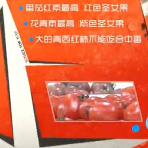 家政女皇20140424视频和笔记:张晔讲《您身边的美容菜-西红柿》番茄红素,西红柿打卤面