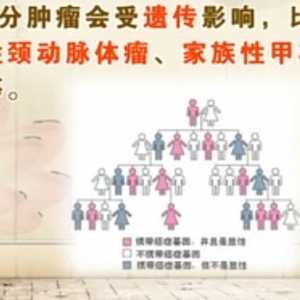 饮食养生汇20140425视频和笔记:陈晓红讲《肿瘤遗传的疑问》肿瘤与遗传,麻花牛蛙