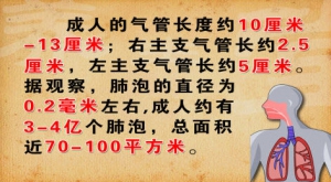 《养生堂》20140426视频和笔记:侯生才讲《埋在肺部的定时炸弹-2》肺结核,肺癌,体位排痰引  ...