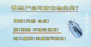 《健康之路》20140503视频和笔记:曾晓芃讲《家有害虫—黑皮蠹》樟脑球、防驻剂、蝶蝇
