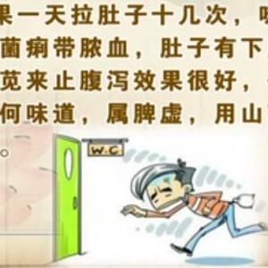 湖北卫视20140502饮食养生汇视频笔记：王国玮讲初夏食补良药——马齿苋、马齿苋饼