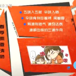 家政女皇20140505视频笔记:孙树侠讲《养阳清肺的春季小菜》芫荽,香葱,芫爆百叶