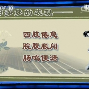 《健康之路》20140505视频笔记:李峰讲《睡眠困扰对症消(二)》玳玳花代茶饮、摩三阳保健操