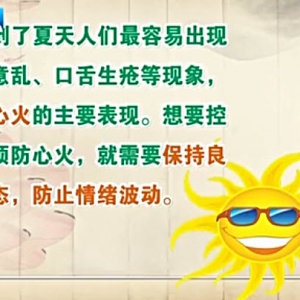 饮食养生汇20140505视频和笔记:王国玮讲《夏食苦瓜正当时》苦瓜的功效,苦瓜鱿鱼