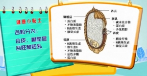 健康有道20140506视频和笔记:戴光强讲《主食搭配很重要》粮薯搭配,粗细搭配