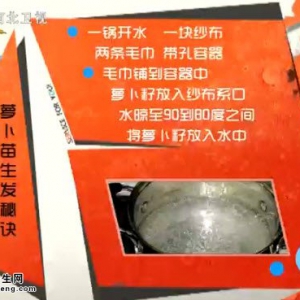 家政女皇20140506视频和笔记:张晔讲萝卜苗的食疗功效,萝卜苗戒烟法,青草蛋糕