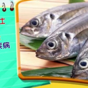 健康有道20140508视频和笔记:戴光强讲吃鱼的学问,鱼肉的功效,挑选鱼的窍门,鱼肝油