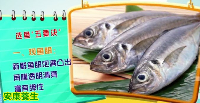 挑选鱼的窍门