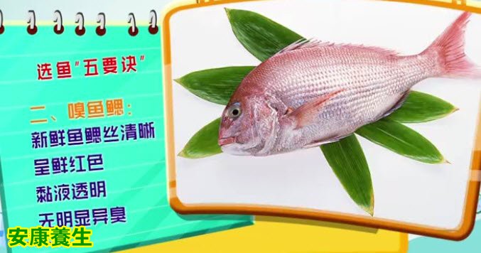 挑选鱼的窍门