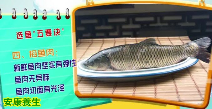 挑选鱼的窍门