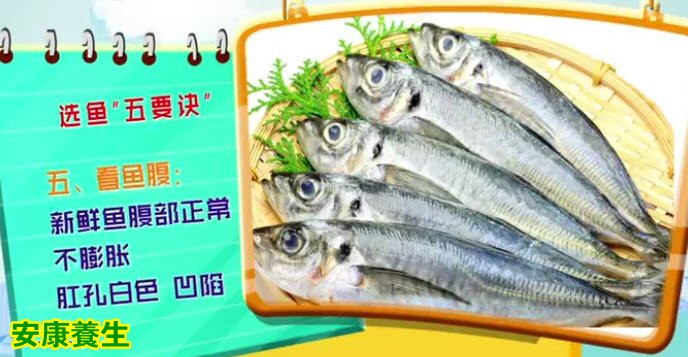 挑选鱼的窍门