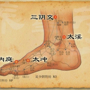 20140511《养生堂》视频和笔记:吴大真、王凤岐、李缨等讲《夏季养生全攻略》
