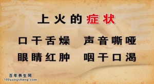 20140512《养生堂》视频笔记:张本刚,翟华强讲《食疗养生巧挑选-1》沙苑白菊饮,菊花的功效