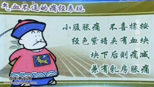 《健康之路》20140512视频笔记:张景春讲皇家御方来治病（下）经期胀痛