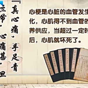 20140512饮食养生汇视频和笔记:刘清泉讲《身边的不定时炸弹-心梗》真心痛,拔丝芋头