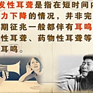 饮食养生汇20140516视频和笔记:余洋讲《耳鸣的治疗》,突发性耳聋,鱼香茄盒