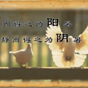 《养生堂》20140518视频和笔记:王凤岐,吴大真,付国兵讲养生有道，巧度苦夏》