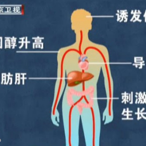 我是大医生20140520视频和笔记:《杯中的秘密》碳水化合物,高糖饮料,膳食纤维