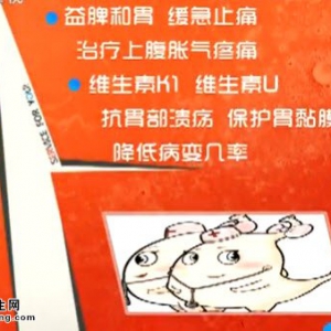 家政女皇20140521视频和笔记:王旭峰讲《养胃防癌保健菜》、十字花科类蔬菜的营养价值