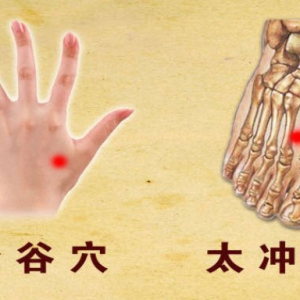 《养生堂》20140522视频和笔记:程海英讲《祛暑更应防“风”-2》中风的前兆,中风的穴位调理