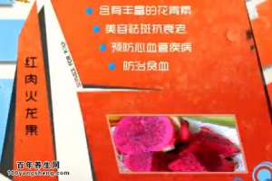 家政女皇20140522视频和笔记:吴大真讲《全能营养王-火龙果》,火龙果炒敲虾