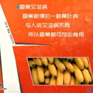 20140523家政女皇视频和笔记:张晔讲《香蕉食疗有新法》香蕉艾滋病,秘制炒鲜奶