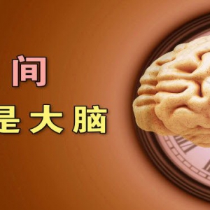 《养生堂》20140524视频笔记:缪中荣讲《时间就是大脑》脑中风、脑卒中、脑梗、急救