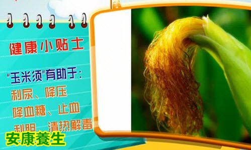 玉米须的药用价值