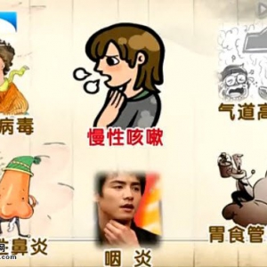 饮食养生汇20140527视频笔记：张纾难讲远离慢性咳嗽的困扰、陈皮排骨