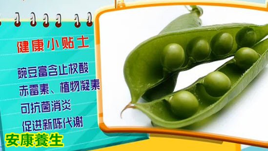 豌豆有消炎抗菌、催乳的作用