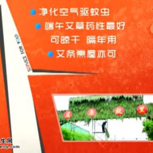 家政女皇20140530视频和笔记:陈允斌讲端午养生祛病除邪,艾叶的作用,艾心香包,雄黄酒