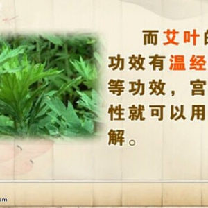 饮食养生汇20140530视频和笔记:王凤岐讲端午养生,醋蛋的功效,皮蛋鱼片汤